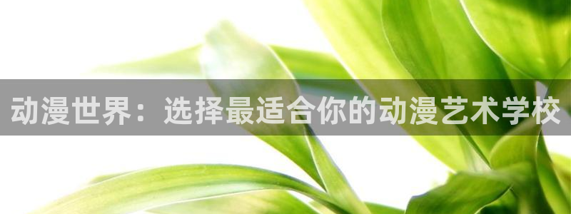 变形金刚78动漫网